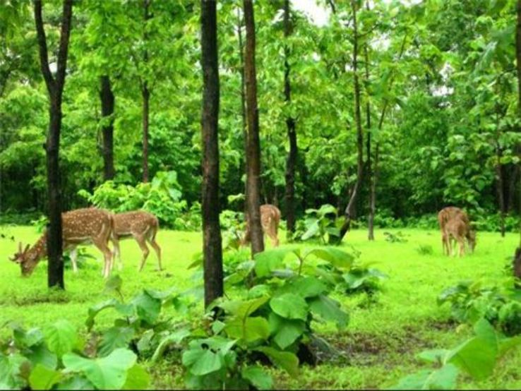 Satmaliya Deer Park Trip Packages