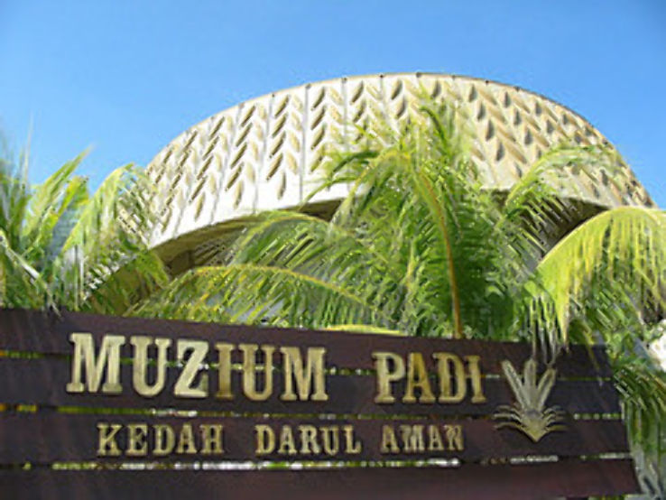 Paddy Museum  Trip Packages