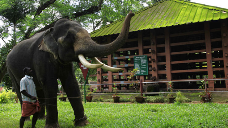 ELEPHANT TRAINING CENTER - KONNI Trip Packages
