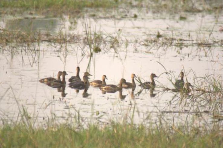 Ballavpur Wildlife Sanctuary Trip Packages