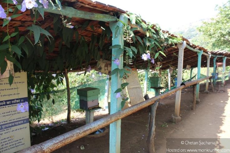 Honey Bees Centre Trip Packages Honey Bees Centre Trip Packages