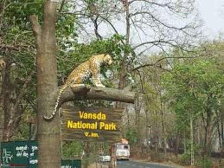 Vansda National Park Trip Packages