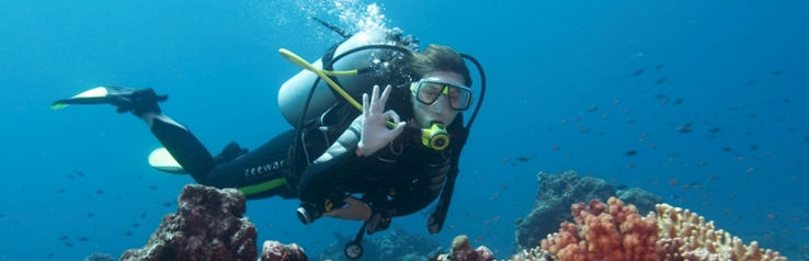 Snorkelling Trip Packages