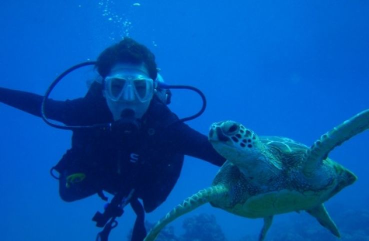 Scuba Diving  Trip Packages