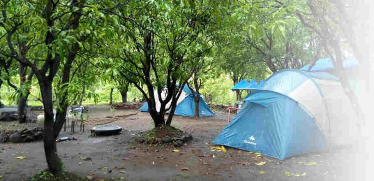 Falyan Jungle Camp Trip Packages Falyan Jungle Camp Trip Packages