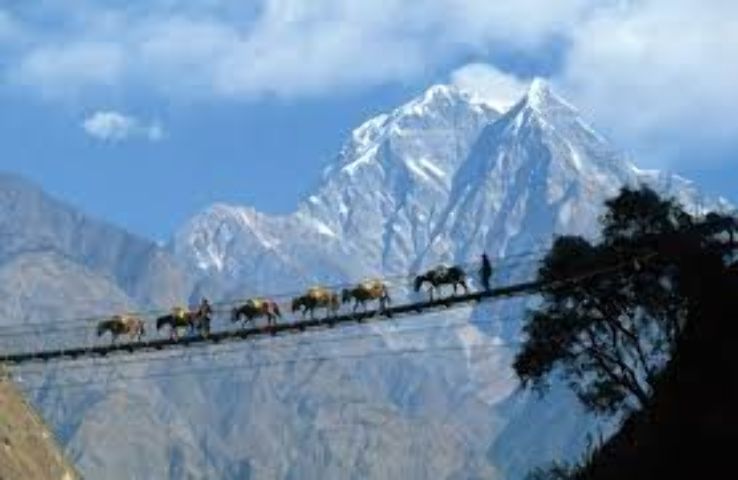 Yumthang Valley Trip Packages