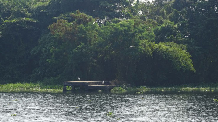 Pathiramanal Island Trip Packages