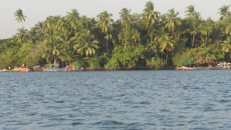 Karli backwaters Trip Packages