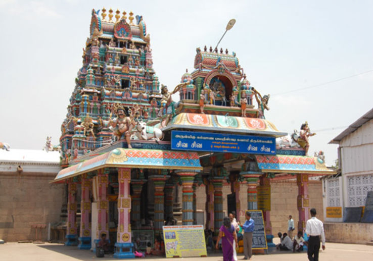 Pasupathieswarer Temple Trip Packages