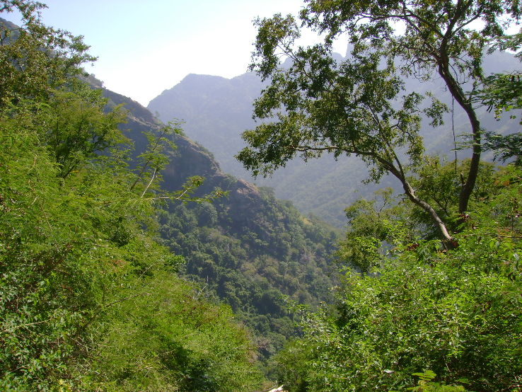 Kolli Hills Trip Packages