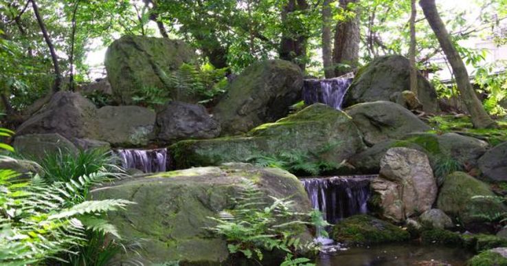 Pramod Van Trip Packages Pramod Van Trip Packages