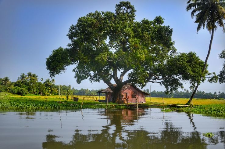 Alleppey Backwaters Trip Packages