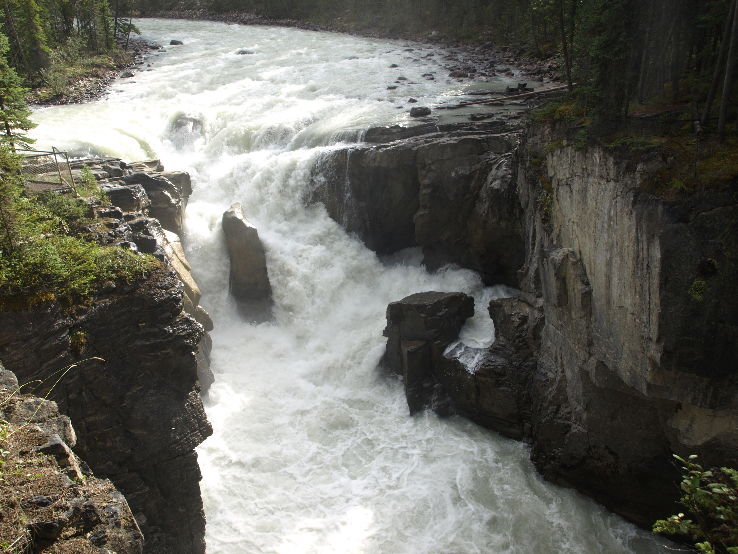 Sunwapta Falls Trip Packages