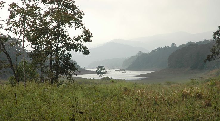 Periyar Tiger Reserve  Trip Packages