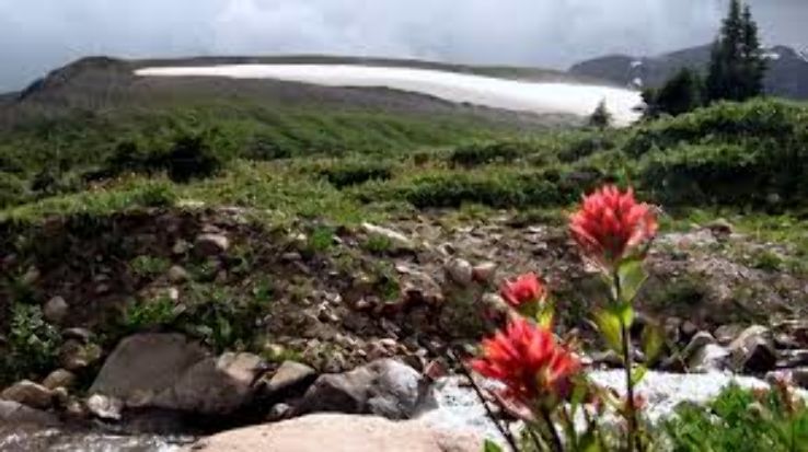 Mount Edith Cavell  Trip Packages