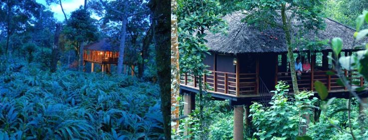 Vandanmedu Trip Packages Vandanmedu Trip Packages
