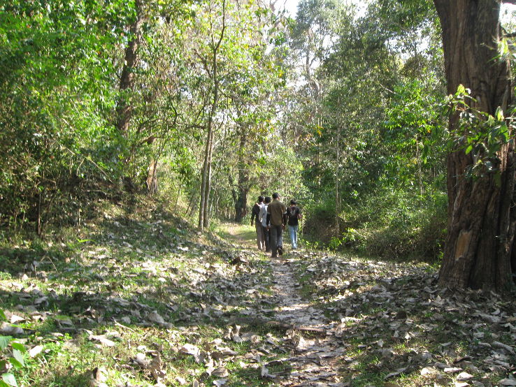 Trekking in Periyar Trip Packages