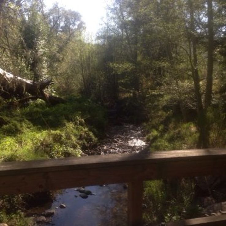 Sugarloaf Ridge State Park Trip Packages