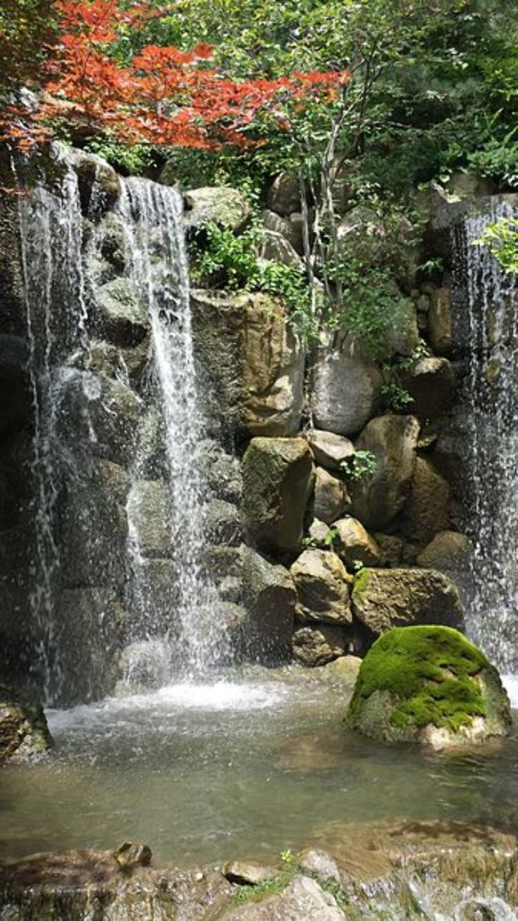  Anderson Japanese Gardens Trip Packages