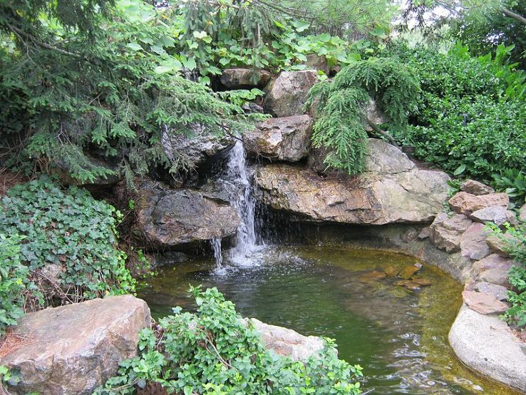  Anderson Japanese Gardens Trip Packages