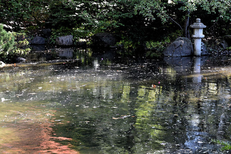  Anderson Japanese Gardens Trip Packages