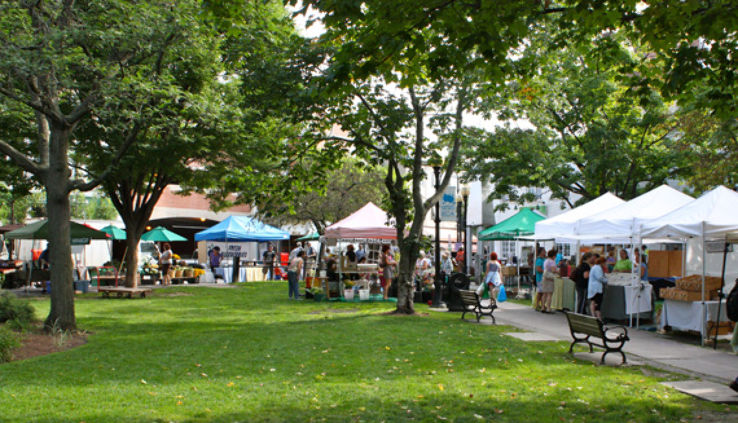 Farmers Market Trip Packages