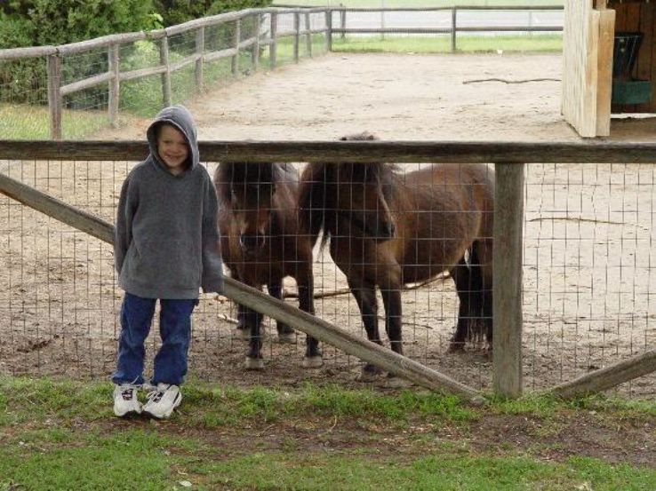 The Dakota Zoo Trip Packages