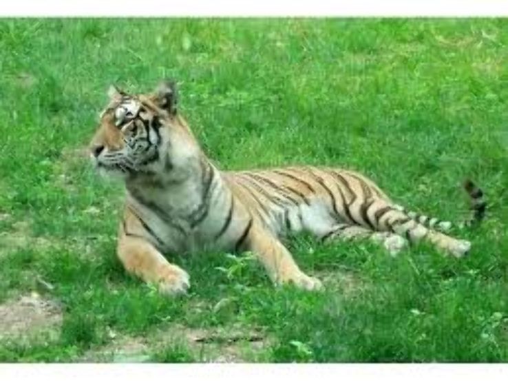 The Dakota Zoo Trip Packages