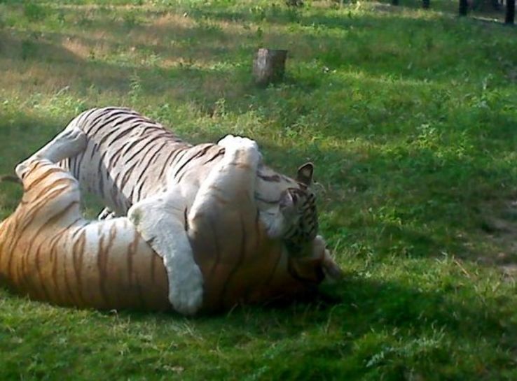 The Dakota Zoo Trip Packages