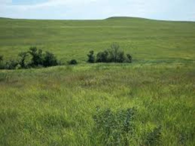 McDowell Dam Nature Park Trip Packages