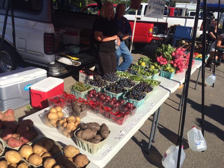  Rockford City Market Trip Packages