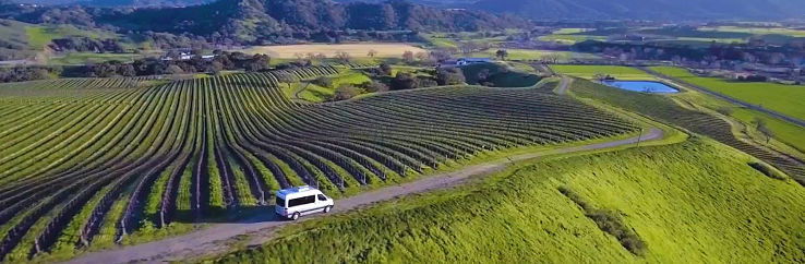 Sustainable Vine Wine  Trip Packages