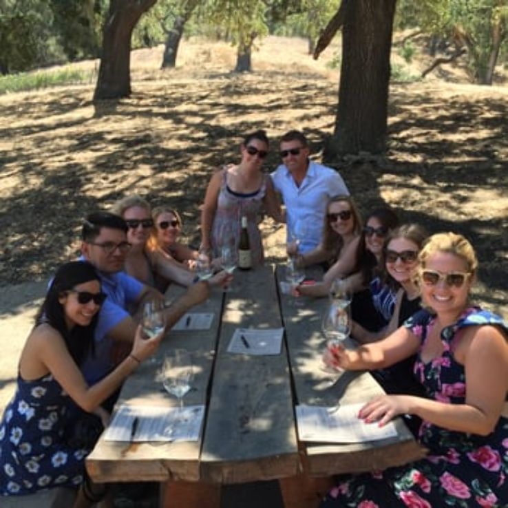 Sustainable Vine Wine  Trip Packages