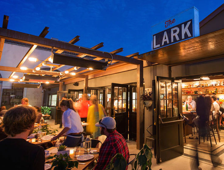 The Lark Trip Packages