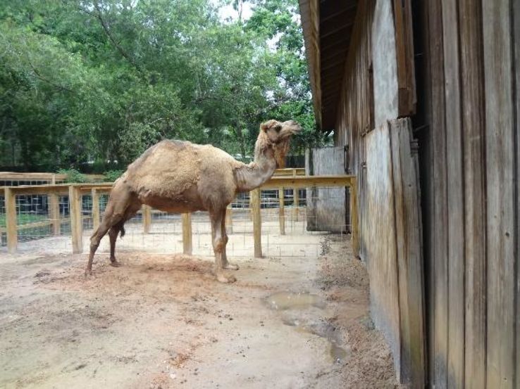 Zoo World Zoological Conservatory Trip Packages