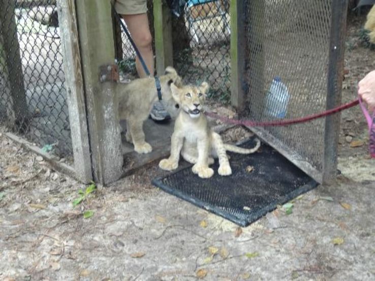 Zoo World Zoological Conservatory Trip Packages