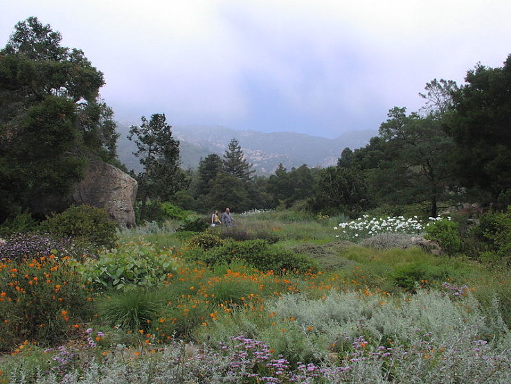 The Santa Barbara Botanic Garden Trip Packages