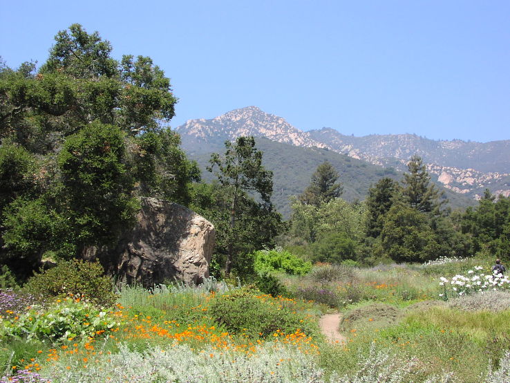 The Santa Barbara Botanic Garden Trip Packages