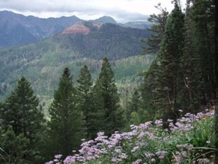 San Juan National Forest Trip Packages