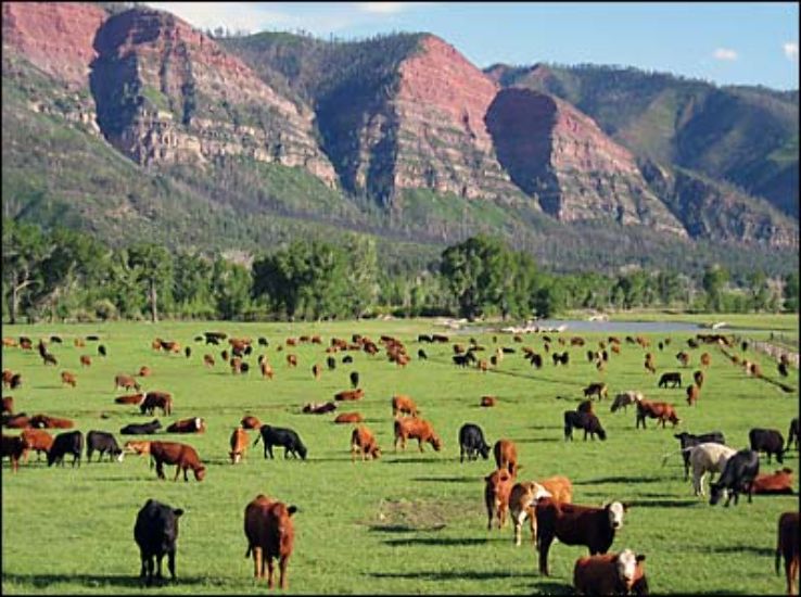 James Ranch Trip Packages