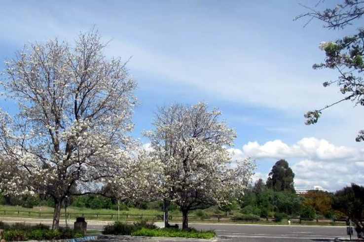 Ulistac Natural Area  Trip Packages