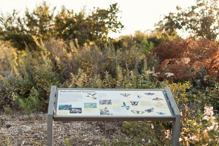 Ulistac Natural Area  Trip Packages