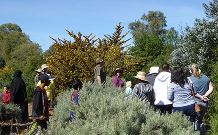 Ulistac Natural Area  Trip Packages