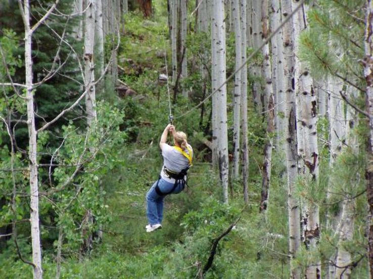 Soaring Tree  Trip Packages