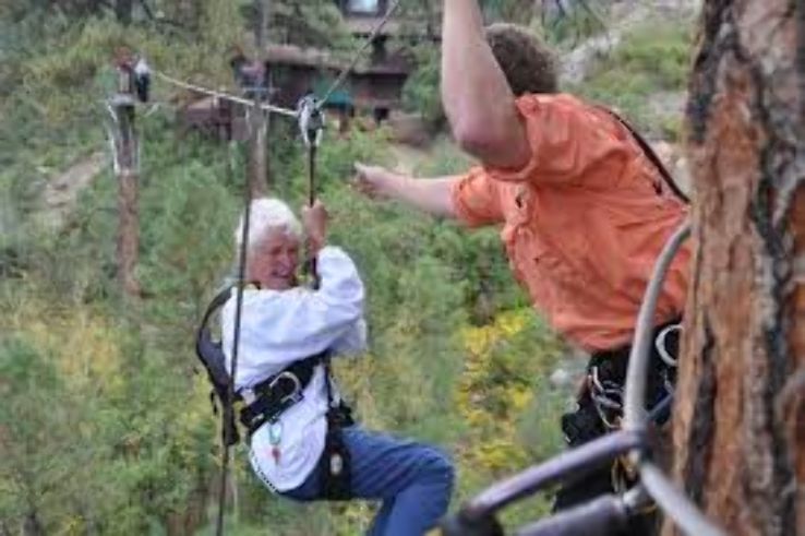 Soaring Tree  Trip Packages