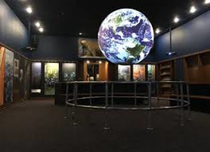 Rochester Museum & Science Center Trip Packages