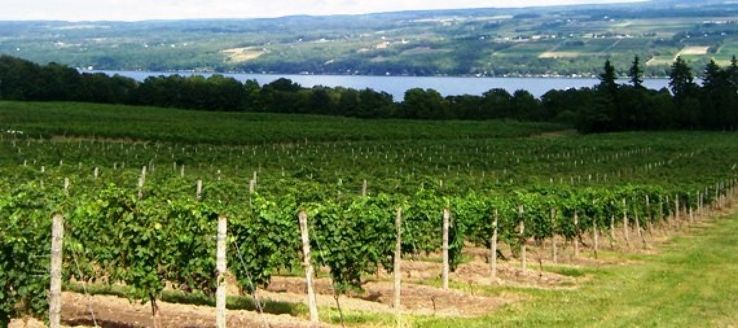 Finger Lakes Wine Country Trip Packages