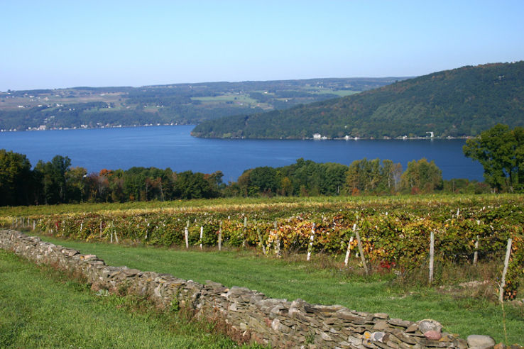 Finger Lakes Wine Country Trip Packages