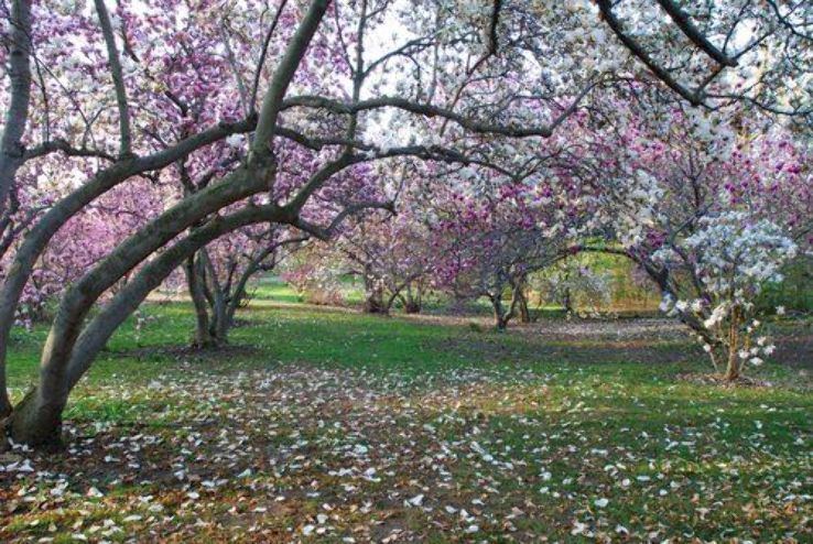 Highland Park Trip Packages