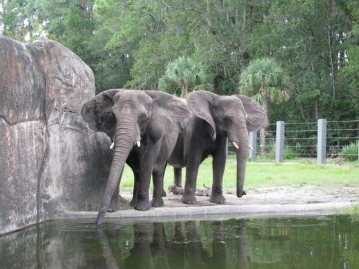 Seneca Park Zoo Trip Packages